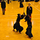 142枚目