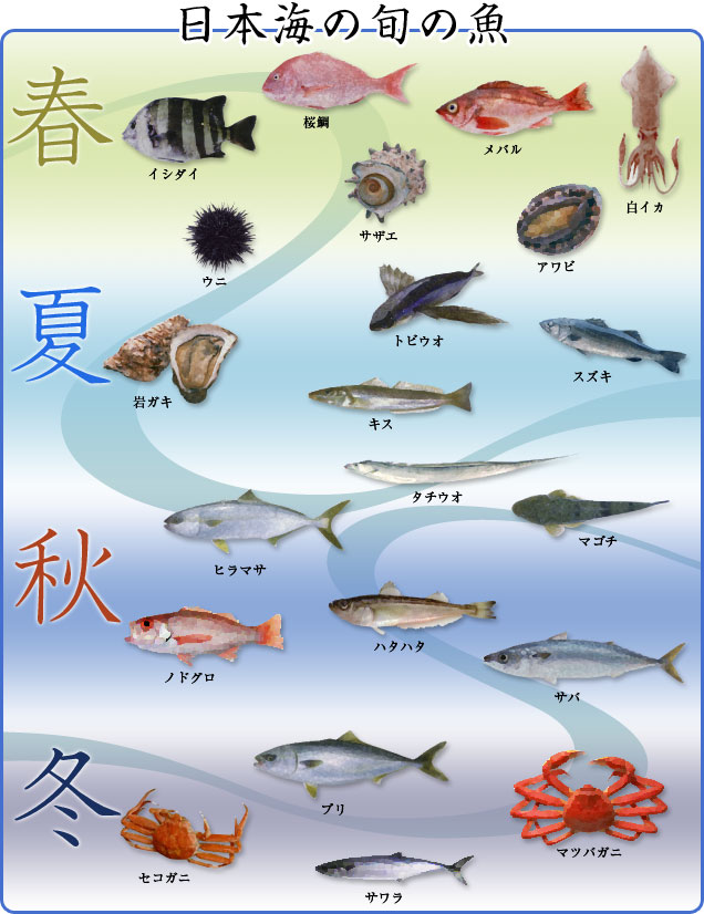 日本海の旬の魚